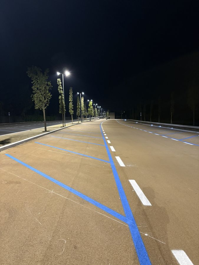 Intervento di riqualificazione ambientale di un parco pubblico e parcheggio in località Capratica — Lotto 1 e Lotto 2 — foto 12